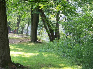 River bank at mohican