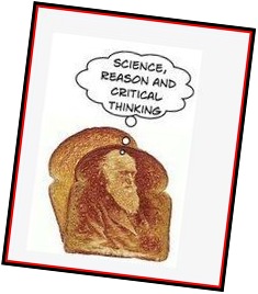 darwin toast