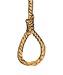 noose