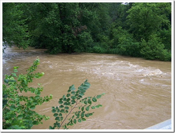 River near Pleasant Hill Dam (1)