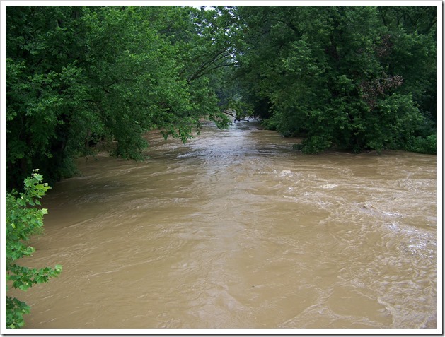 River near Pleasant Hill Dam (2)