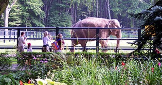 zoological garden