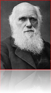 Darwin